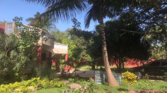 Heda House Panzió Sanyang Kültér fotó