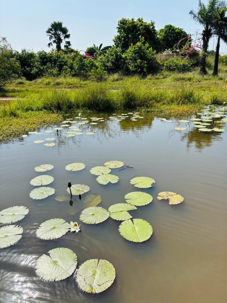 Heda House Panzió Sanyang Kültér fotó