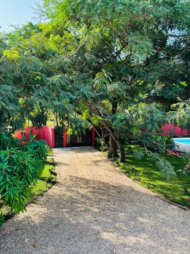 Heda House Panzió Sanyang Kültér fotó